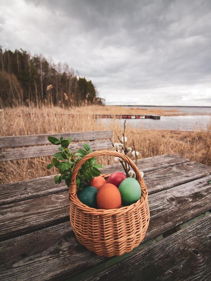 Lesna 21 Dom Poludnie Przy Puszcza Bialowieska Luka Bagian luar foto