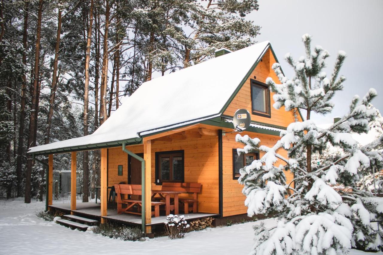 Lesna 21 Dom Poludnie Przy Puszcza Bialowieska Luka Bagian luar foto
