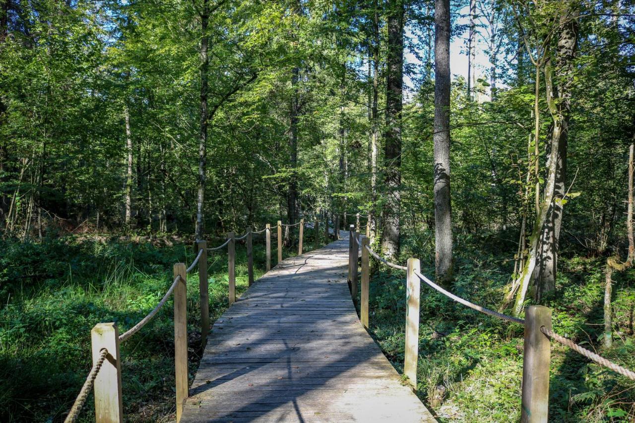 Lesna 21 Dom Poludnie Przy Puszcza Bialowieska Luka Bagian luar foto
