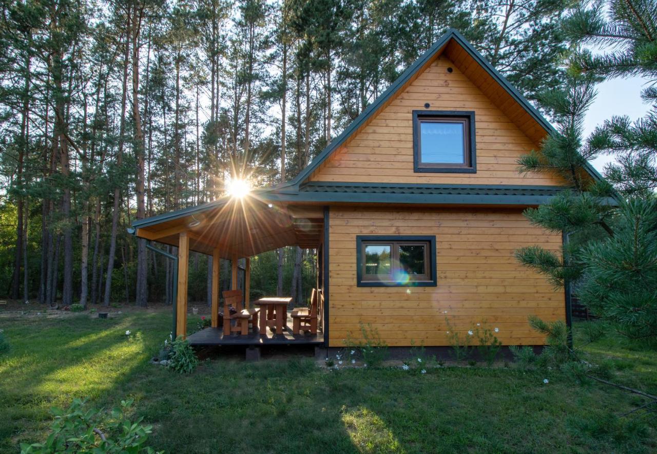 Lesna 21 Dom Poludnie Przy Puszcza Bialowieska Luka Bagian luar foto