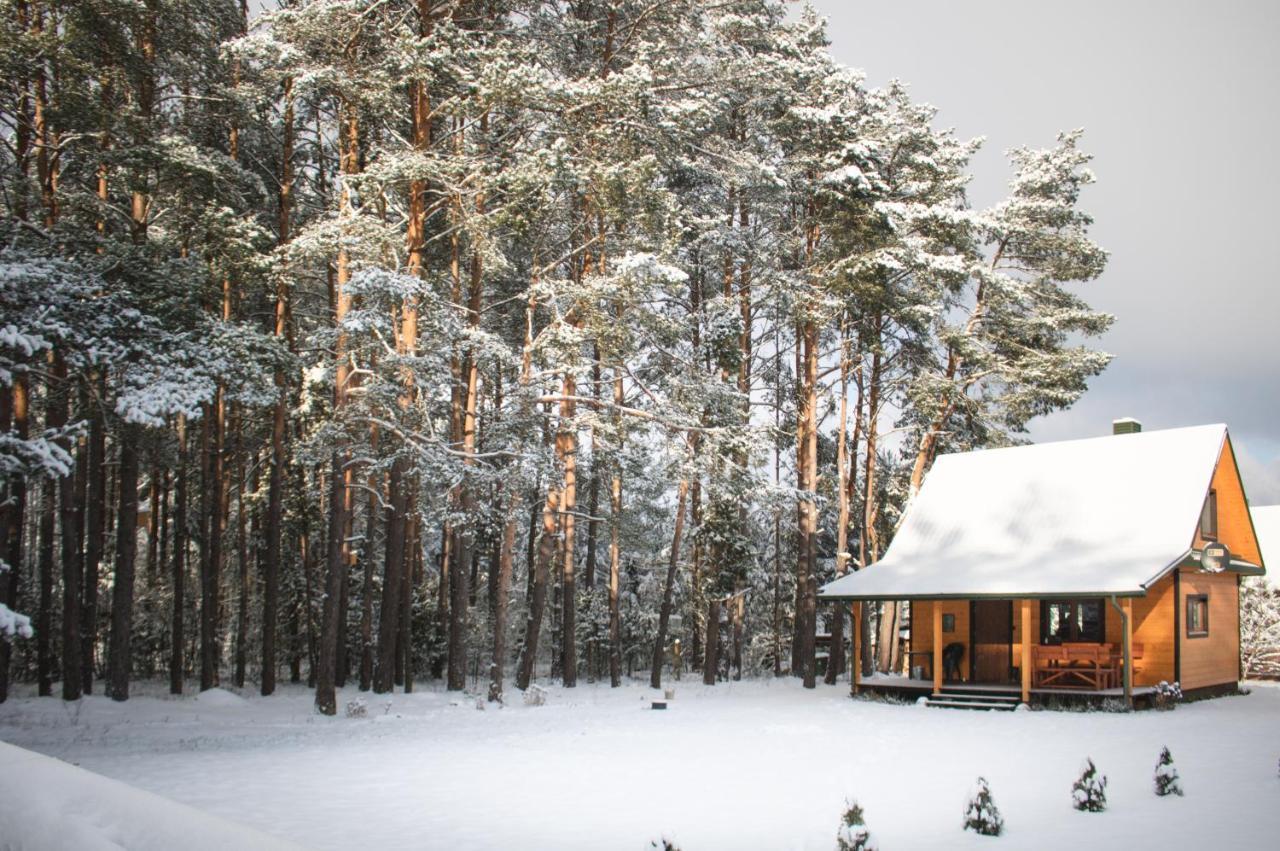 Lesna 21 Dom Poludnie Przy Puszcza Bialowieska Luka Bagian luar foto