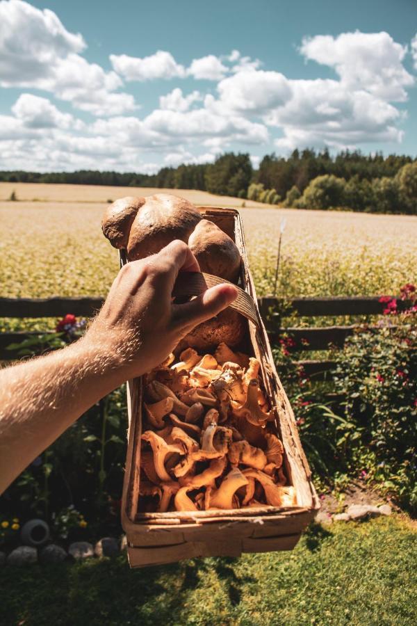 Lesna 21 Dom Poludnie Przy Puszcza Bialowieska Luka Bagian luar foto