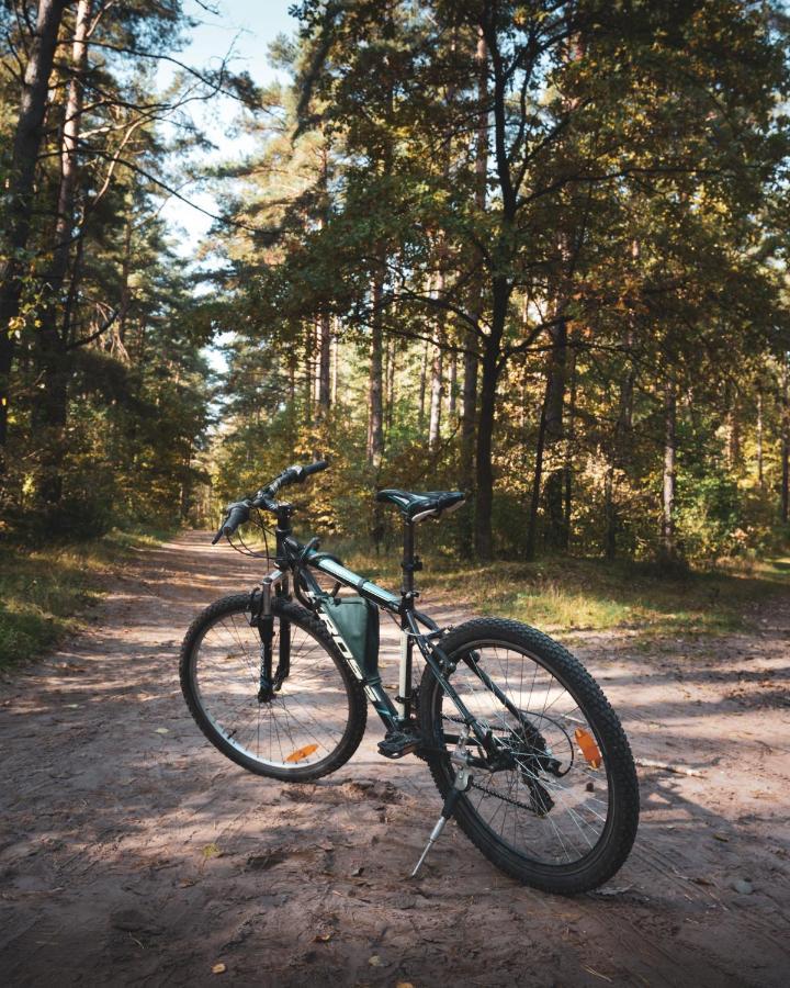 Lesna 21 Dom Poludnie Przy Puszcza Bialowieska Luka Bagian luar foto
