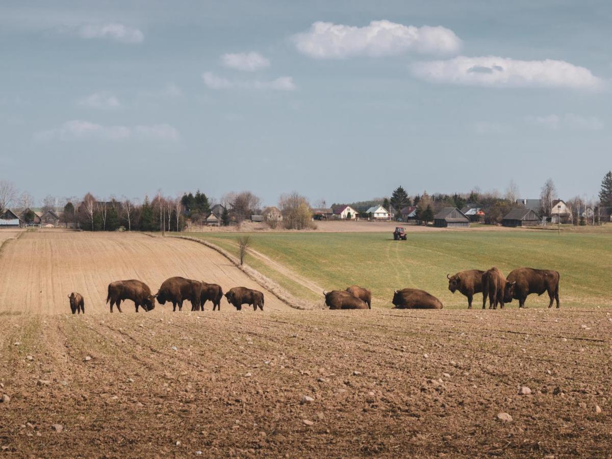 Lesna 21 Dom Poludnie Przy Puszcza Bialowieska Luka Bagian luar foto