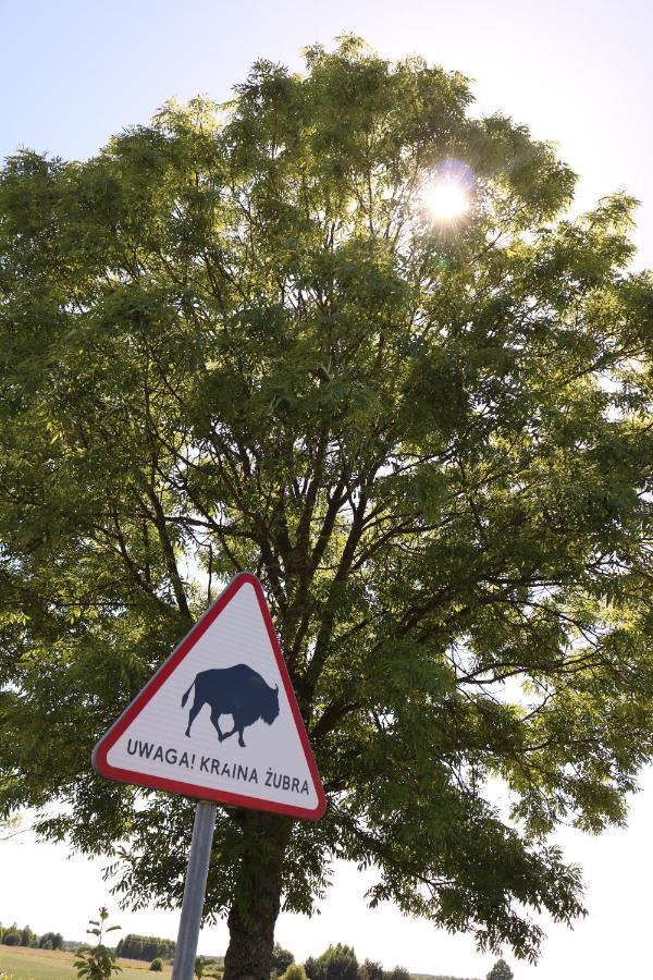 Lesna 21 Dom Poludnie Przy Puszcza Bialowieska Luka Bagian luar foto