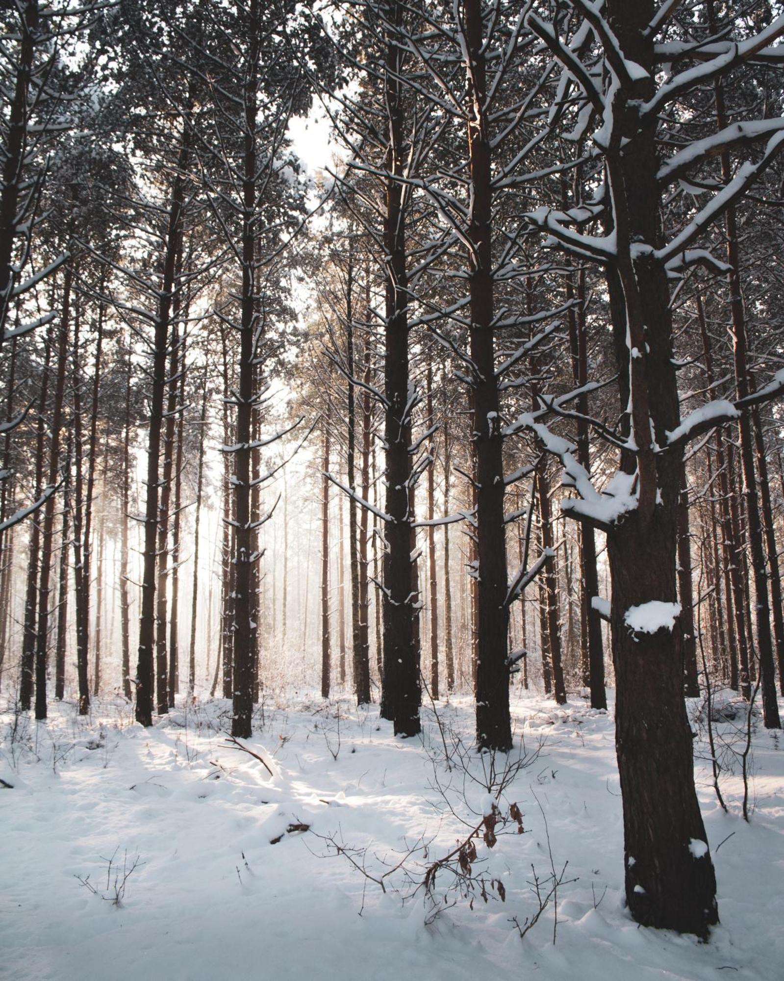 Lesna 21 Dom Poludnie Przy Puszcza Bialowieska Luka Bagian luar foto