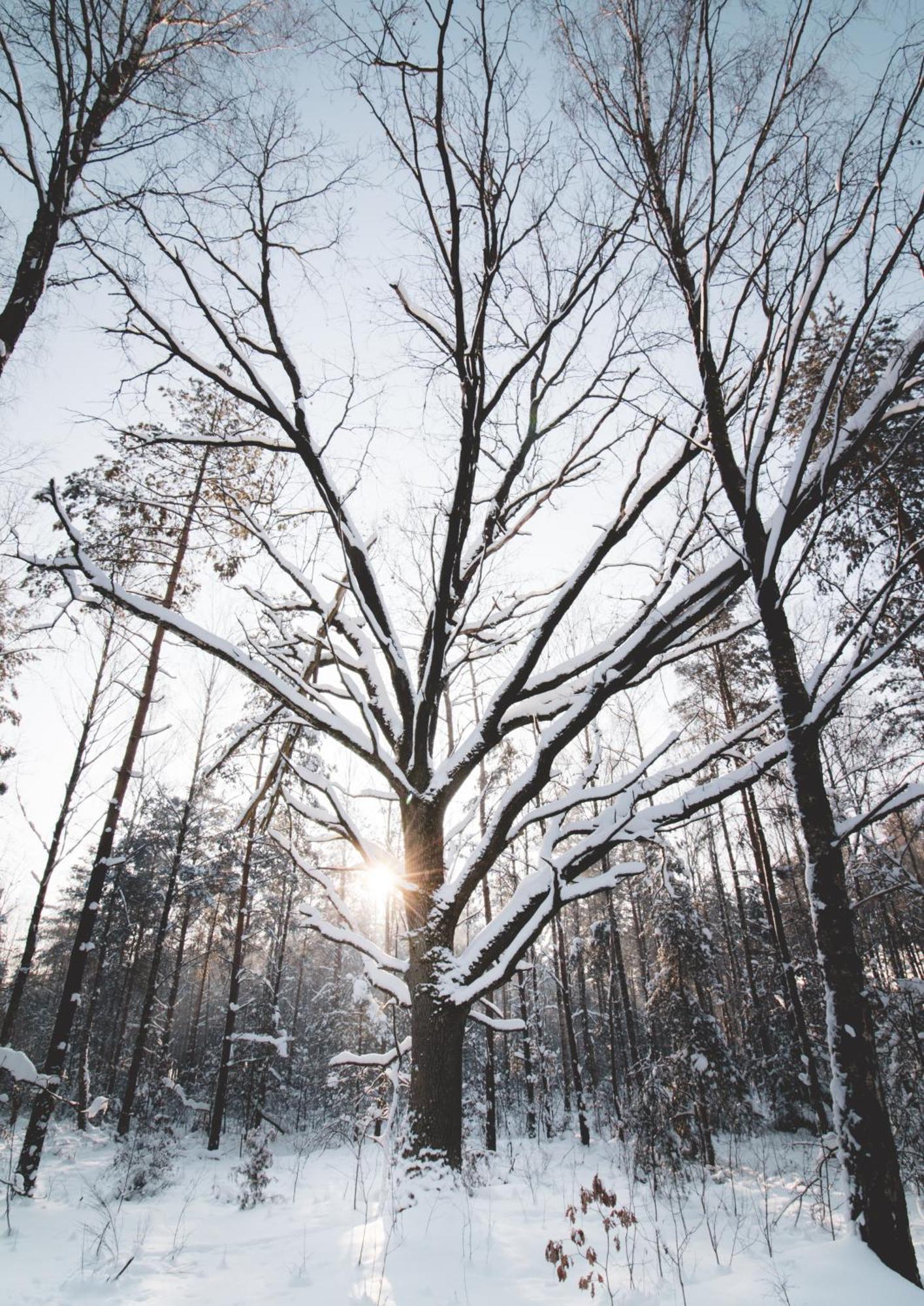 Lesna 21 Dom Poludnie Przy Puszcza Bialowieska Luka Bagian luar foto